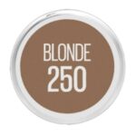 Tattoo Studio Blonde